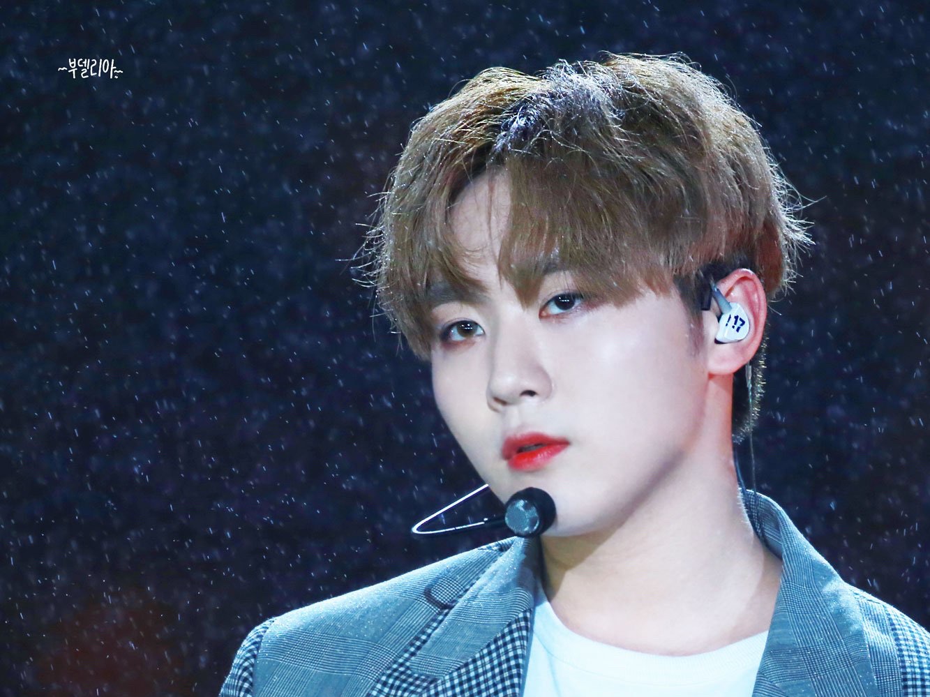 부승관 image