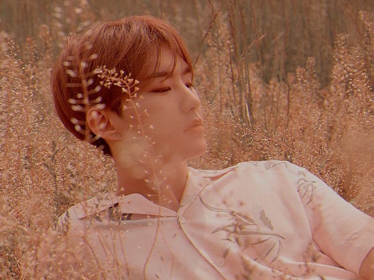 권순영 image