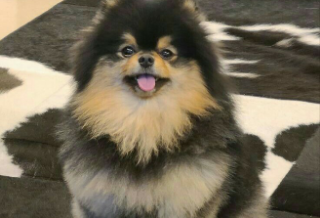 전설의 연탄 thumbnail