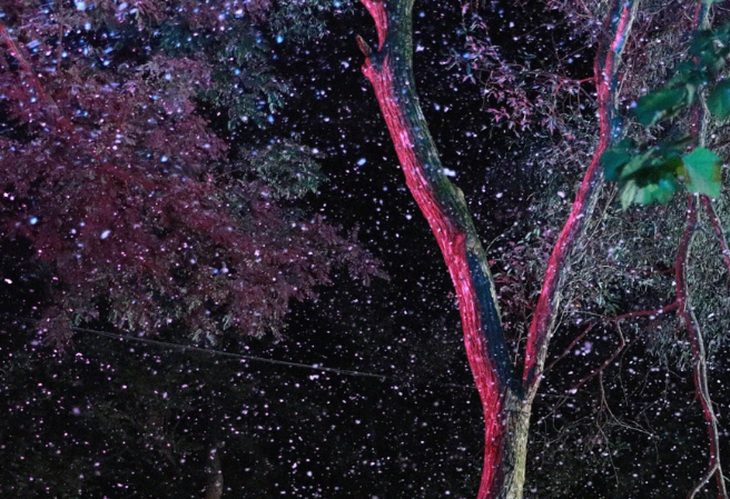 아기 다람쥐는 황자 thumbnail