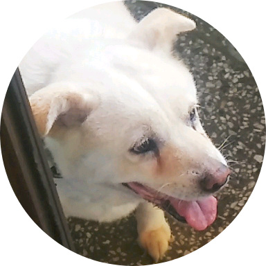 작가 image