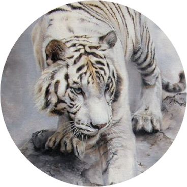 백호 image