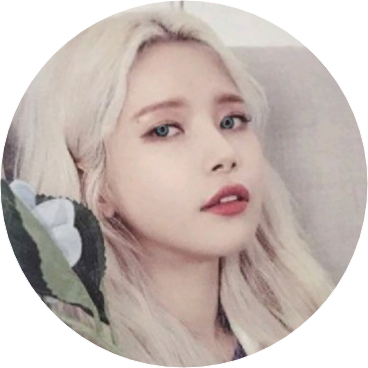 솔라 image