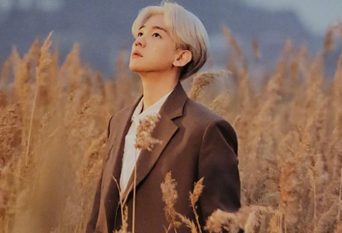 Định nghĩa của sự lãng mạn: hoa hồng và được gặp em. thumbnail