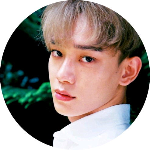 사랑하는진 image