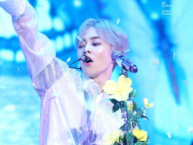 달맞이꽃 thumbnail