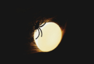 "You're going to be my first contractor." thumbnail