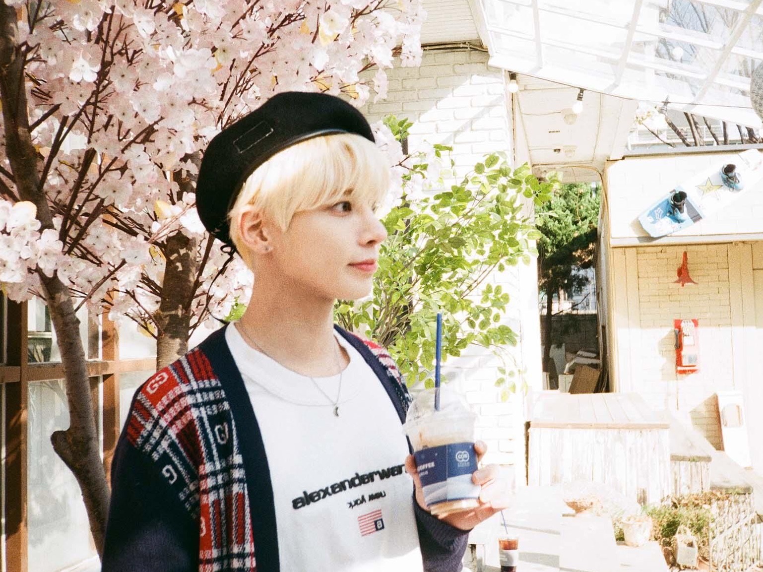 貓還是狗 thumbnail