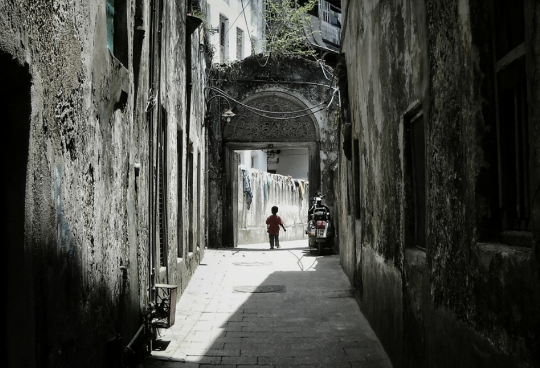 새로운 삶을 향한 마아 라이프 thumbnail