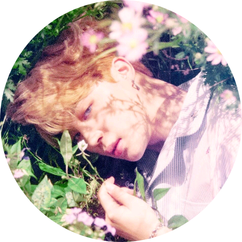 박지민 image