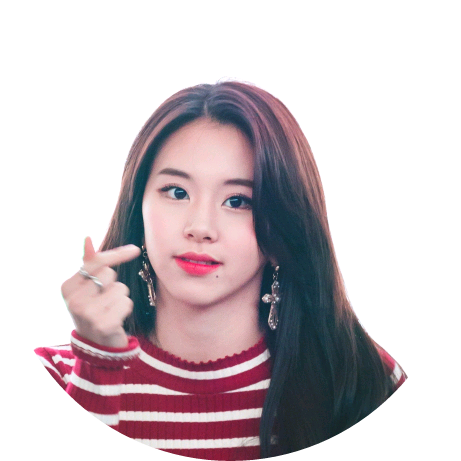 손채영 image