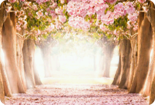 평범하지않은 세계 thumbnail