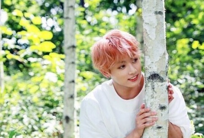 Profumo di lavanda thumbnail