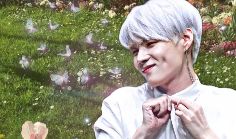 나비야, 날아가지 마 thumbnail