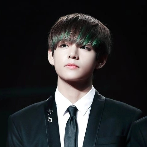 BTS조직 김태형 image