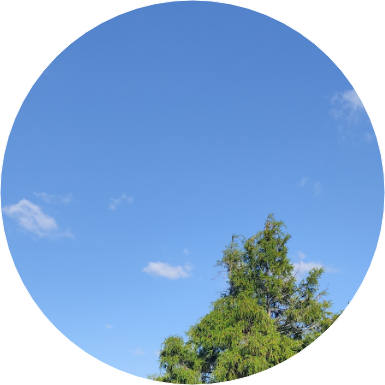 작가입니당❤️ image