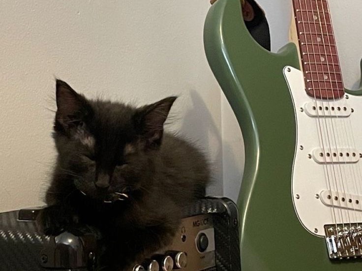 Katakan ya! thumbnail