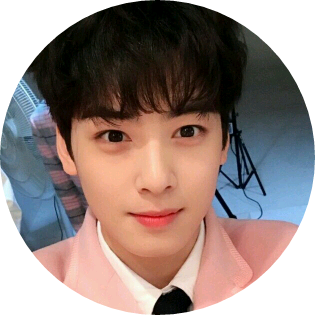 차은우 image