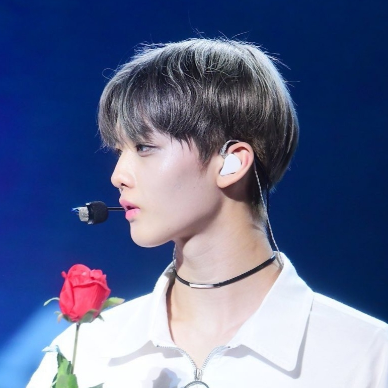 배진영 image