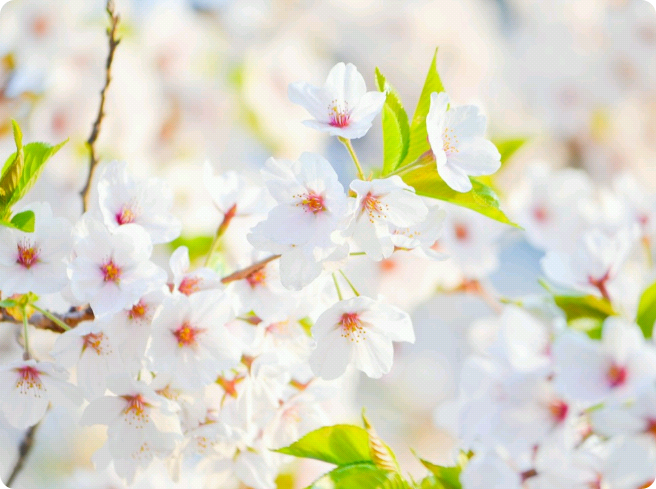 ＃通知＃ thumbnail