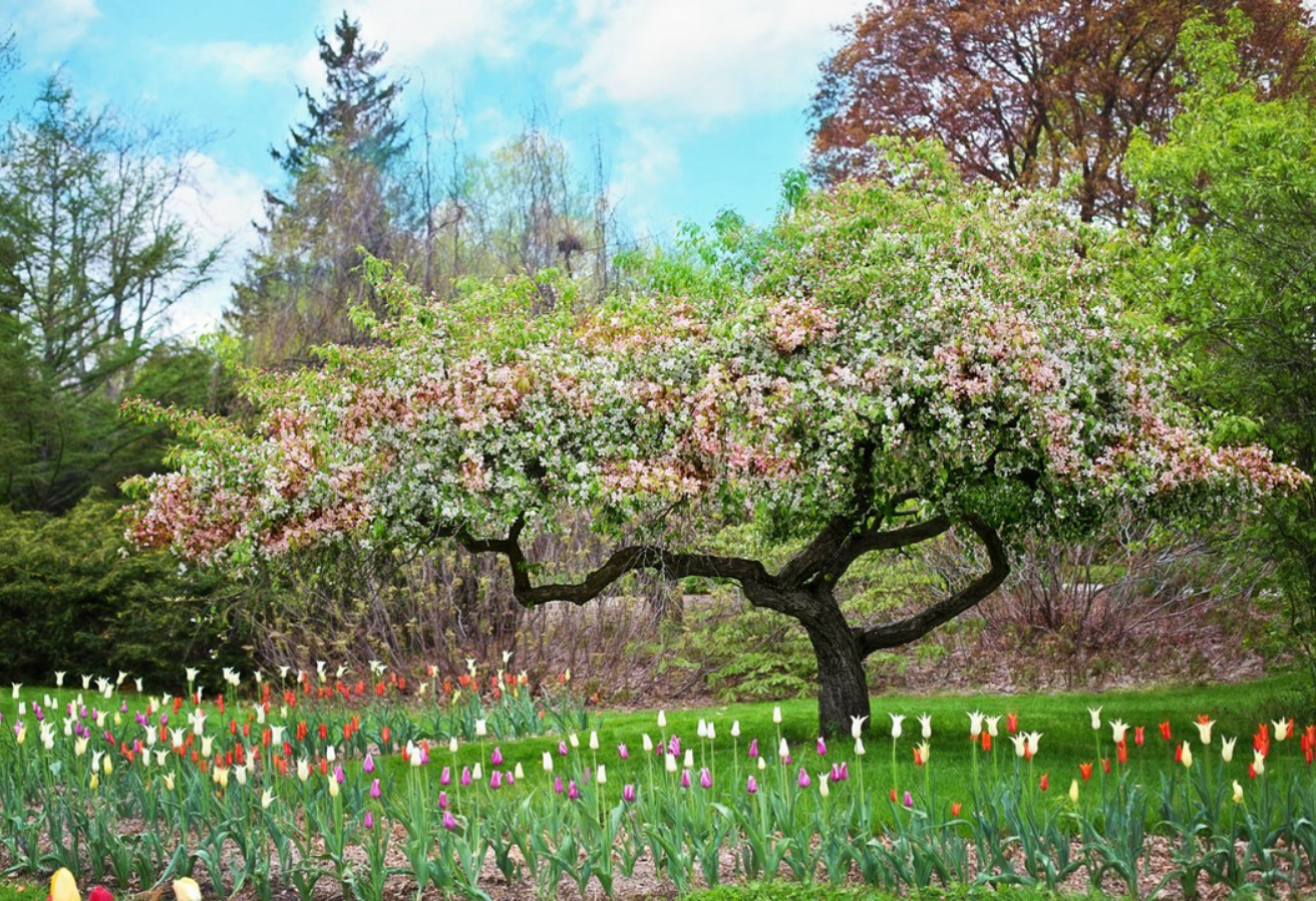 RPGでもLOVE thumbnail