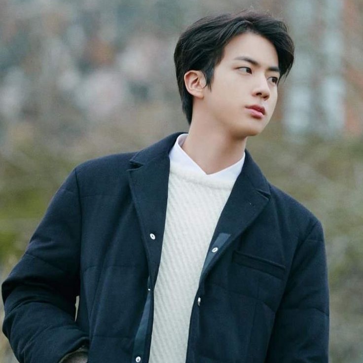김석진 image
