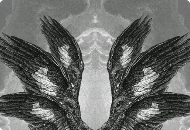 “別碰我。” thumbnail