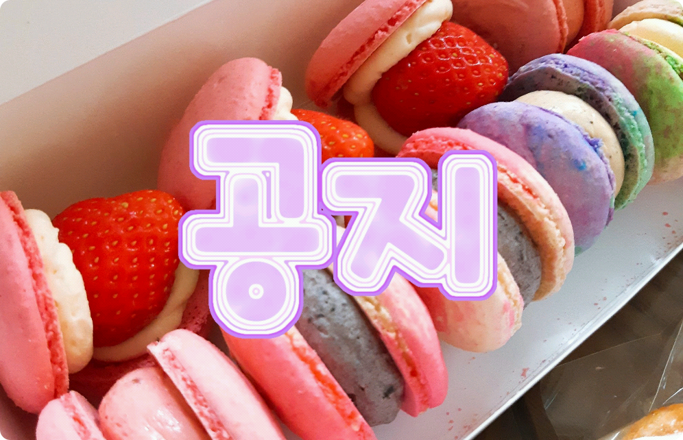 [솜은달 작가의 공지들] thumbnail