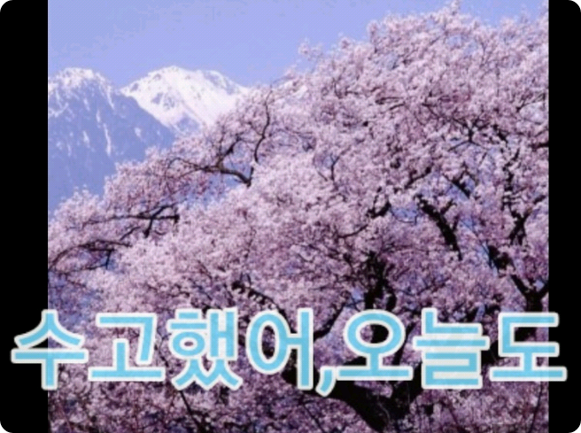 힐링타임... thumbnail