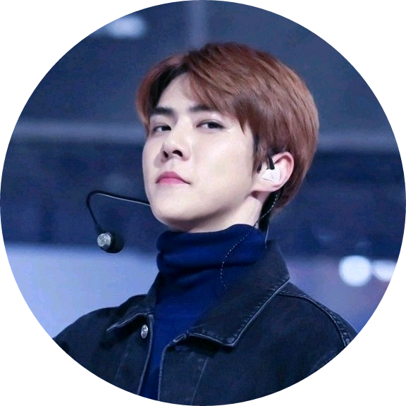 세후니(병아리) image