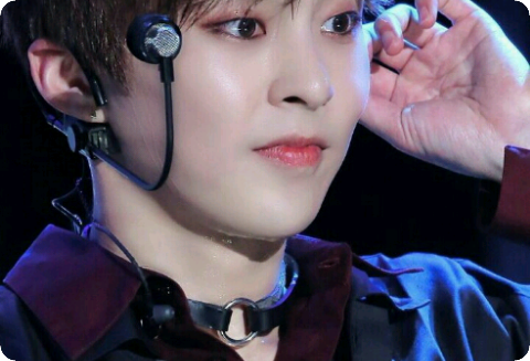 ¡Me gustan los gatos! (Mitad humanos, mitad animales) thumbnail