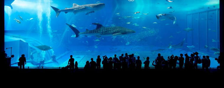 Mi Seol-yoon favorita thumbnail