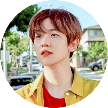 변백현(백현) image