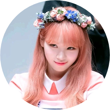 김채원 image