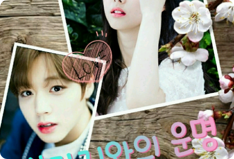 [공모전]4가지와의 운명 thumbnail