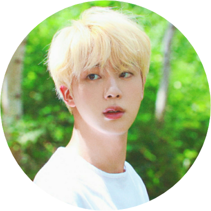 김석진 (19 image