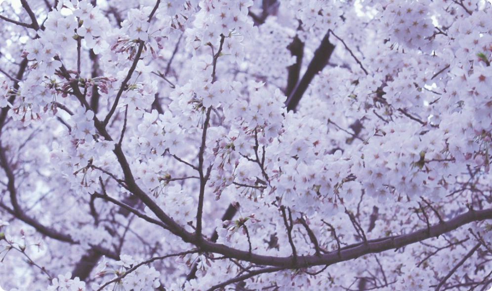 colección de cuentos thumbnail