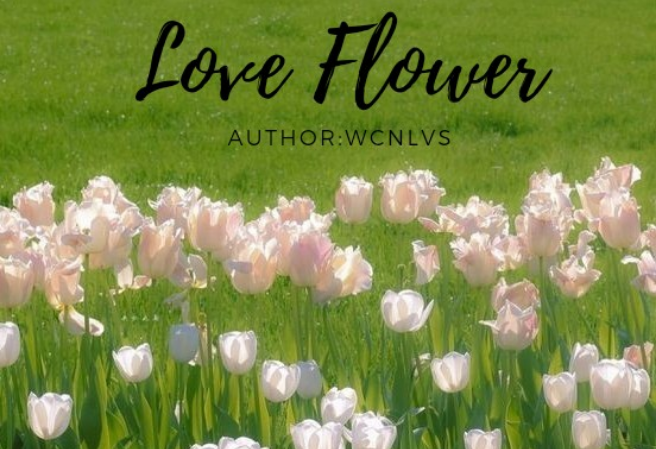 사랑꽃 thumbnail
