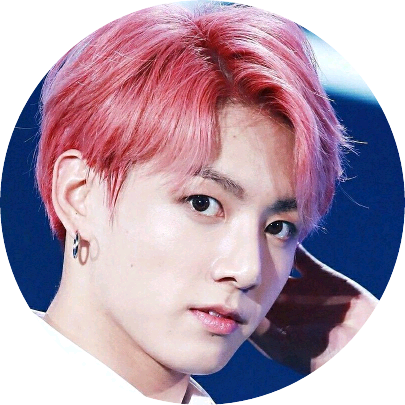 쌍둥이오빠전정국/짝 image