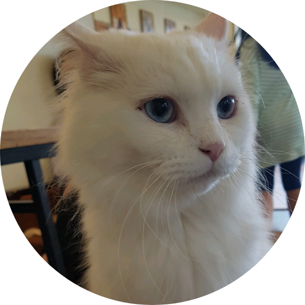 작가 입니다 image