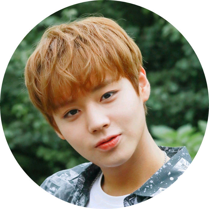 박지훈 image