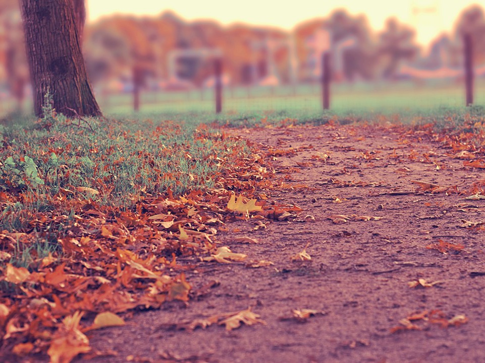 chgchpphrl thumbnail