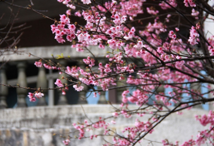 그때 그 느낌 그대로  thumbnail