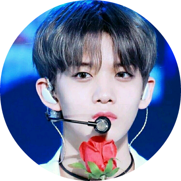 배진영 image