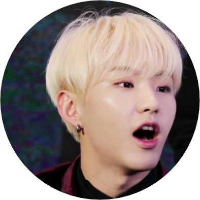 호시(권순영) image