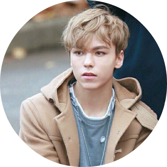 한솔!버논 image