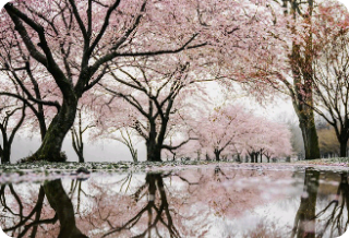 抓住我的那个人 thumbnail