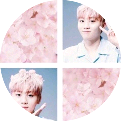 부승관 image