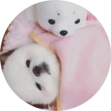 러브 image