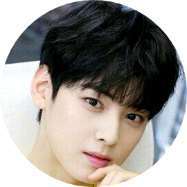 차은우 image